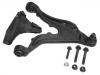 Control Arm:271 902