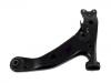 Control Arm:48069-12191