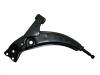 Control Arm:48069-12110