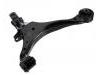 Bras de liaison Control Arm:51360-S9A-A01