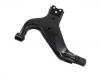 Control Arm:54500-0W001