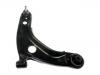 Control Arm:48068-59095