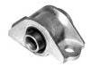 Control Arm Bushing:7775344