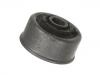 Control Arm Bushing:90539057