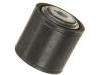 Control Arm Bushing:4545711