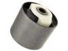 Control Arm Bushing:RGX500131